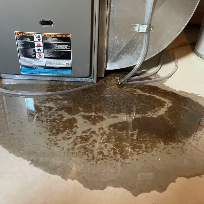 Appliance Leak Cleanup in Vista Santa Rosa, CA